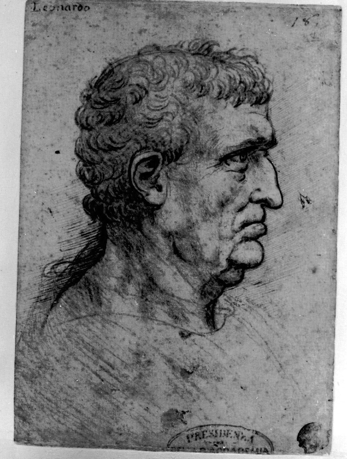 200-ritratto d'uomo di profilo - Gallerie dell'Accademia di Venezia